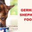 german shepherd food with diet
