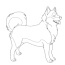 free siberian husky coloring pages