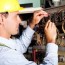home electrical code inspections
