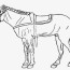 pony drawing arabian horse coloring