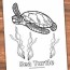 beautiful sea turtle coloring pages