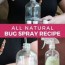 diy bug spray all natural and inexpensive