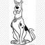 scooby doo coloring pages color png