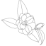 free printable carnation flower