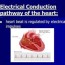 normal electrical impulse of the heart