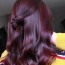 hair color inspiration 22 plum hair