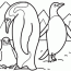 penguin pictures for kids coloring home