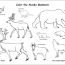 alaskan mammals coloring page coloringbay