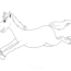 best horse coloring pages for kids