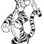 cute tiger coloring pages png images