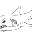 simple megalodon shark coloring pages