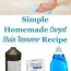 homemade carpet stain remover recipe