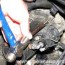 bmw e46 starter replacement bmw 325i