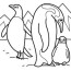 emperor penguin coloring pages