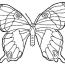 butterflies kids coloring pages