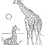 free printable giraffes coloring pages