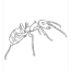 ant coloring pages free bugs coloring