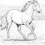 horse coloring pages to download and