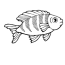 koi fish coloring page png images