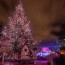 the great montreal christmas market