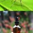 homemade natural mosquito repellent 2