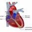 treating heart rhythm problems