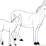 donkey coloring page for kids free