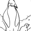 free cartoon penguin coloring pages