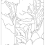 free jungle coloring pages book for
