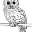 free printable owl coloring pages for kids