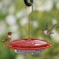 diy hummingbird and oriole nectar