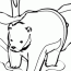 bear coloring pages printable quoteko