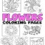 flower coloring pages 30 printable