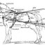 glossary of harness parts related