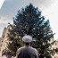 christmas tree questions ask the mayor