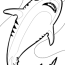 drawing shark 14955 animals