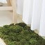 this diy moss shower mat will turn your