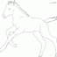 cantering foal coloring page coloring