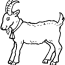 animals printable coloring pages