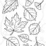 printable fall coloring pages parents