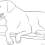 best dog black labrador coloring page