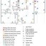 how to map house electrical circuits