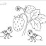 ant coloring and activity pages for kids