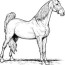horse coloring pages free printable