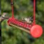 how to make hummingbird nectar diy