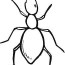 ant coloring page for kids free ants