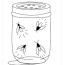 fireflies coloring pages free bugs