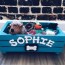 8 dog toy box ideas that you will love