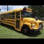thomas freightliner school bus