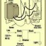 electrical wire color codes wiring